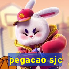 pegacao sjc